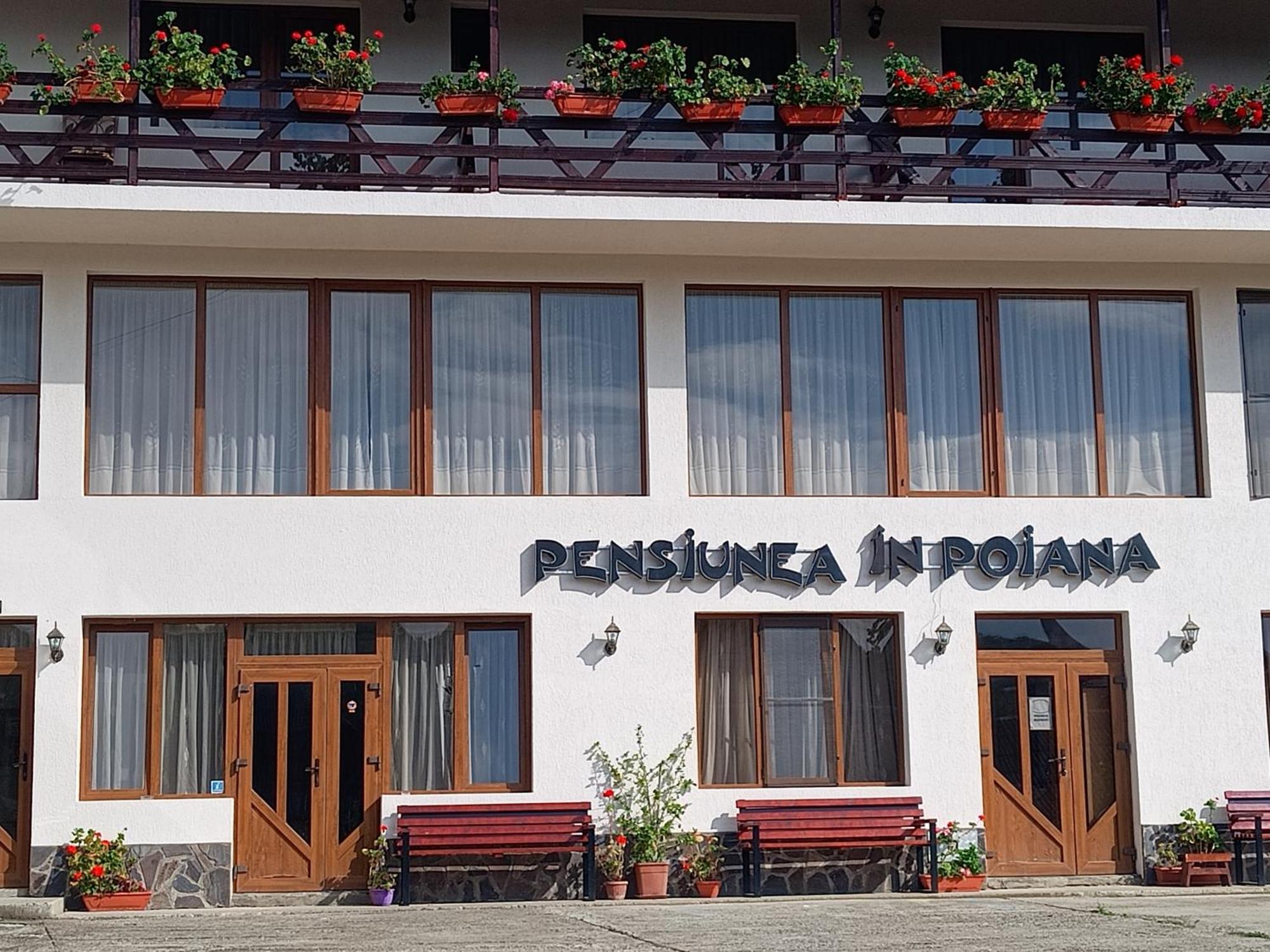 Pensiunea In Poiana Glod  Exteriör bild